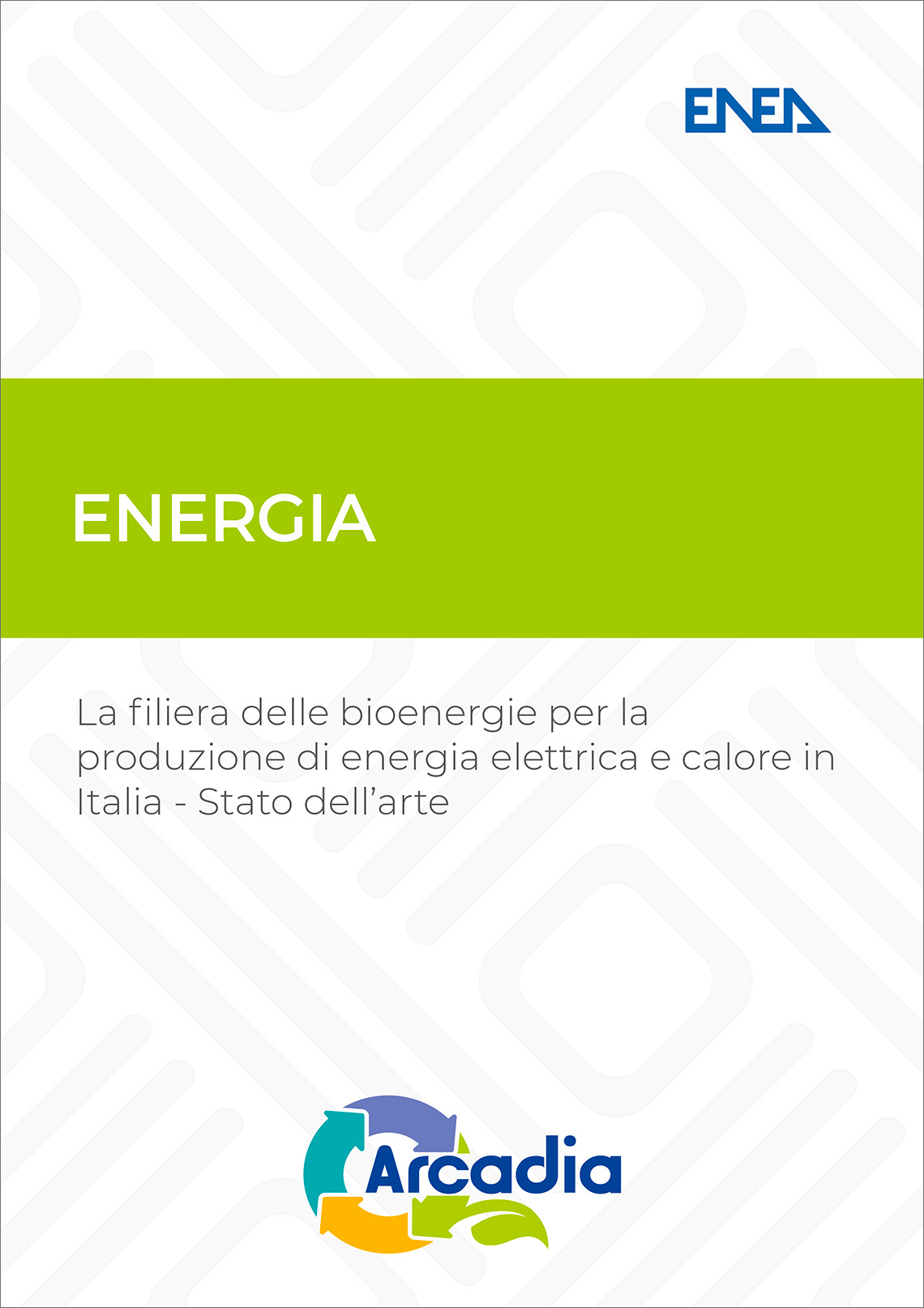 cover pubblicazione bioenergie